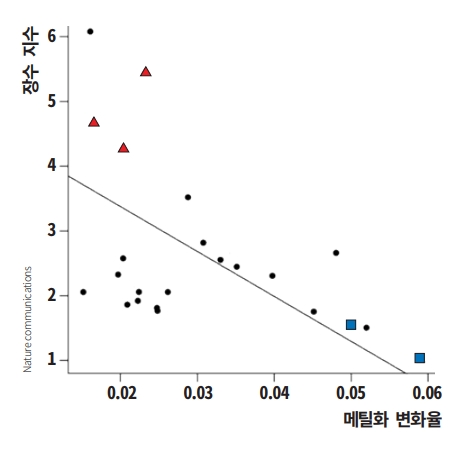 미국 로스앤젤레스 캘리포니아대(UCLA)와 GIB 메릴랜드대 공동연구팀이 26종의 박쥐 유전자를 분석한 결과, 노화가 진행되며 메틸화 패턴이 빠르게 변하는 박쥐일수록 수명이 짧았다. 수명이 평균보다 긴 박쥐 3종(붉은 삼각형)과 평균과 비슷한 박쥐 2종(파란 사각형)의 메틸화 변화율에 따른 장수 지수를 그래프로 나타냈다. 네이처 커뮤니케이션 제공