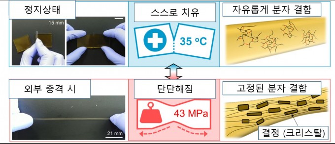 연구진이 개발한 소재는 정지시에는 불규칙한 수소결합으로 부드러워 자가치유가 잘되며(위 그림) 외부에서 충격이 가해졌을 때는 규칙적인 수소결합으로 단단해진다(아래 그림). 화학연 제공.