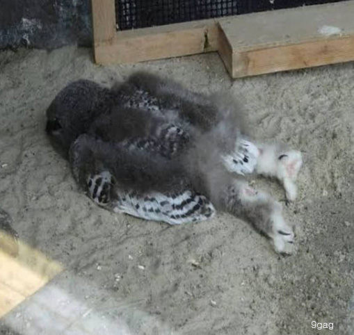 팝뉴스 제공