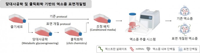 한국연구재단 제공
