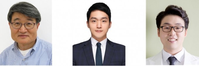왼쪽부터 조길원 포스텍 교수, 이선백 연구원, 강보석 성균관대 교수. 포스텍 제공.