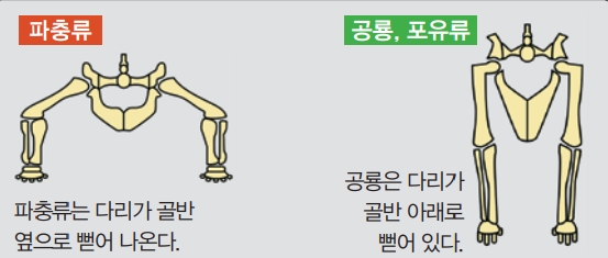 어린이과학동아DB