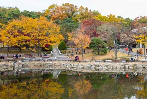 19일 날씨] 맑고 포근한 늦가을…