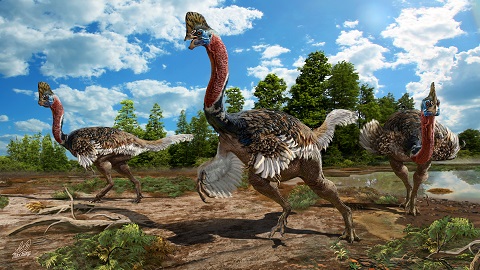 New Dinosaur Species With Helmet Like Crest Discovered DongA Science New Dinosaur Species With Helmet Like Crest Discovered DongA Science