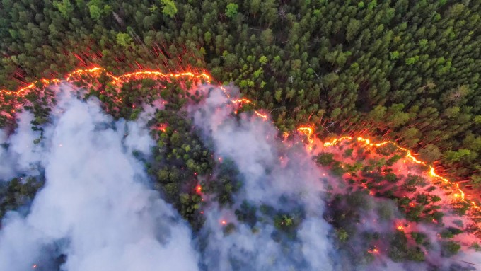지난 7월 시베리아의 숲을 태우고 있는 산불의 모습이다. 그린피스에 따르면, 러시아에서는 한국의 1.3배 면적에 해당하는 1900만 헥타르가 올해 산불로 탔다. 그린피스 제공 