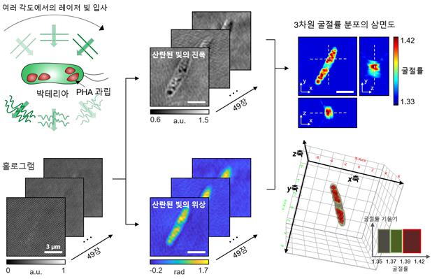 KAIST 제공