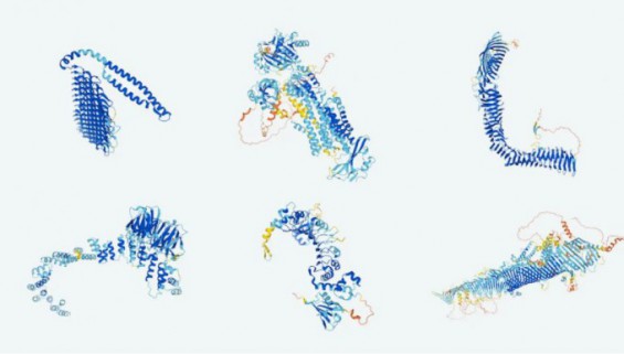 구글 딥마인드AI, 인간 단백질 2만개 구조 모두 예측했다 