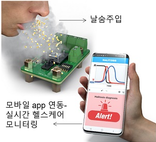 KAIST 제공