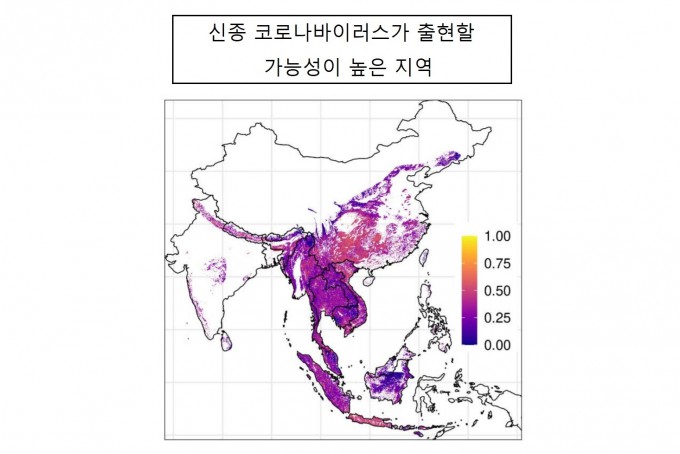 미국 비영리연구단체 에코헬스얼라이언스와 듀크-싱가포르대 의대 공동 연구팀은 신종 코로나바이러스가 출현할 위험이 높은 지역에 대한 지도를 만들었다. 사스, 코로나19와 유전적으로 비슷한 바이러스를 가진 박쥐 23종가 많이 살고 있는 지역, 인구 수가 많고, 사람과 박쥐간 접촉 빈도가 높은 곳 등 데이터를 결합한 결과다. 중국 남서부 일부와 미얀마 북동부, 태국, 라오스, 베트남 북부, 말레이시아, 인도네시아로 나타났다. 지도에서 색깔이 노란색, 붉은색과 가까울수록 위험도가 크다는 뜻이다. 메드아카이브 제공