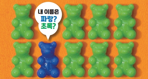 초록의파랑 이미지