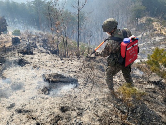 최장 기록 깬 동해안 산불, 오래 지속된 원인 바람·온도·나무  