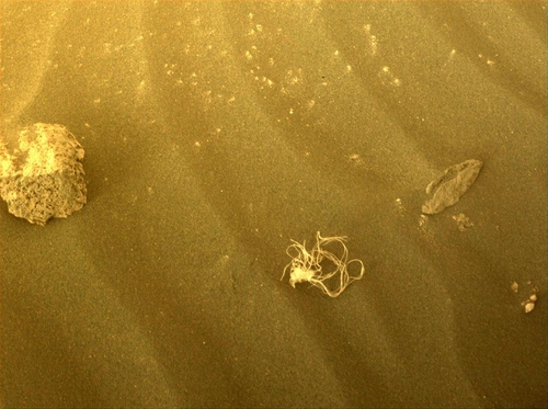 화성 표면서 스파게티 닮은 '의문의 물체' 포착