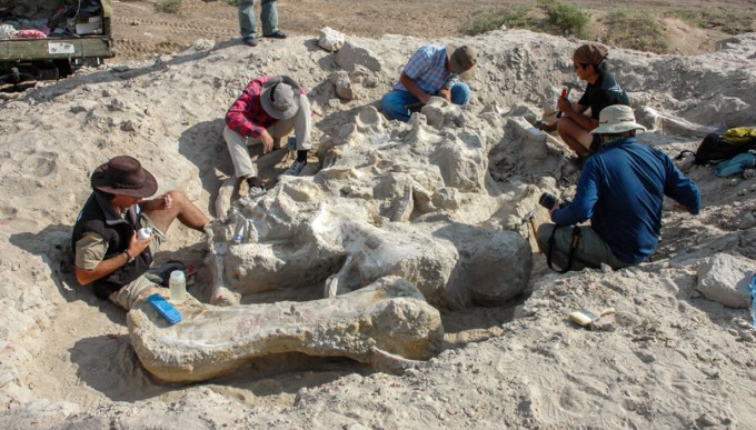A exploração de fósseis de dinossauros foi realizada na Mongólia em 2007. Os fósseis não apenas nos dizem que tipo de dinossauros viviam naquela época, mas também que tipo de vida vivia.  Cortesia de Yeongnam Lee