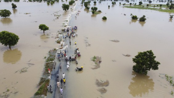 기후변화 결과는 '재난'...600명 목숨 앗아간 나이지리아 홍수