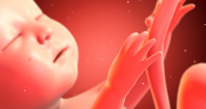 임신 중 알코올 섭취는 태아 뇌의 발달과 구조 형성에 영향을 미치는 것으로 나타났다. 게티이미지뱅크 제공