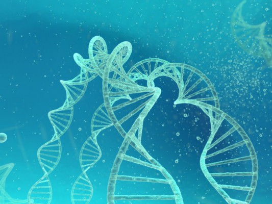 [오늘과학] 고대 바이러스가 남긴 DNA 흔적, 암 치료 새 단서