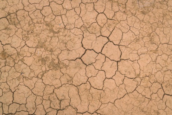 [기후위기와 산림] 전세계 75% 사막화 진행...미세먼지로 되돌아온다