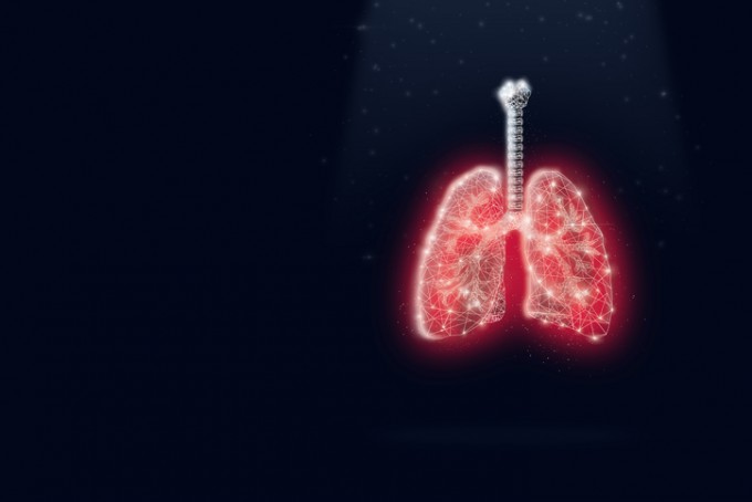폐의 재생능력을 되살리는 줄기세포 메커니즘이 규명된 장기 폐. 게티이미지뱅크 제공