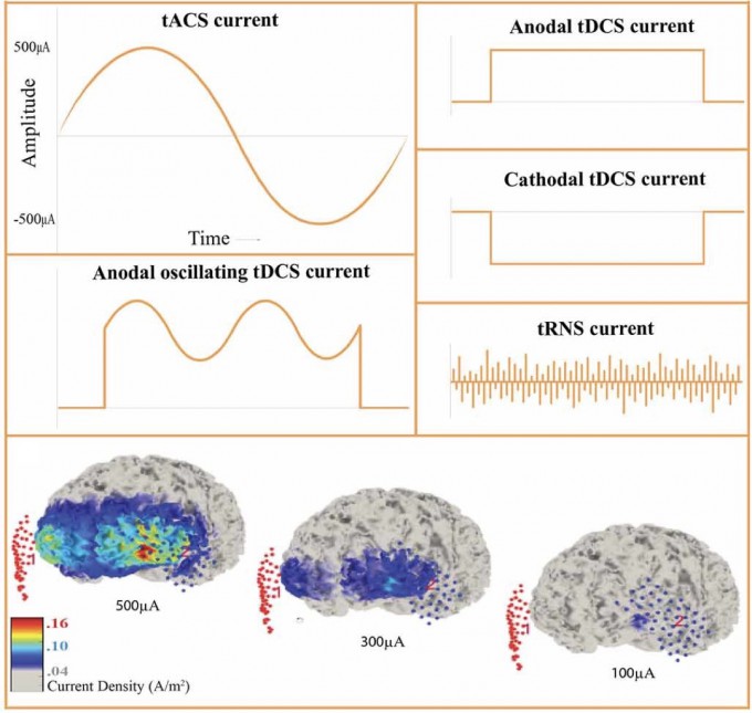 [Neuroscience in Daily Life] The 'Brain Stimulator' That Reverses Age ...