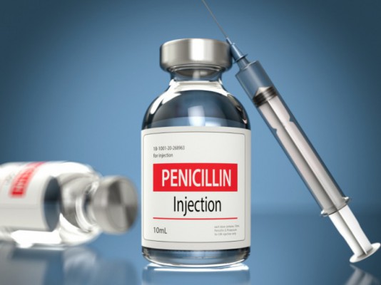 [의학사로 보는 세상] 최초 항생제 페니실린 발견은 우연일까