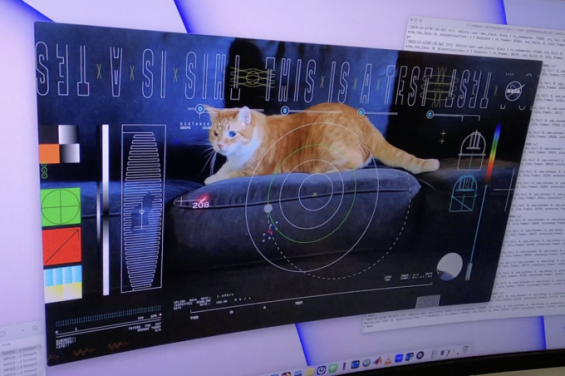 심우주에서 보낸 ‘고양이 영상’, 실시간 고화질로 지구서 재생