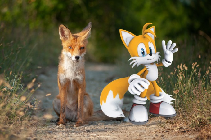 Sonic the Hedgehog: How Do the Game's Characters Compare to Real ...