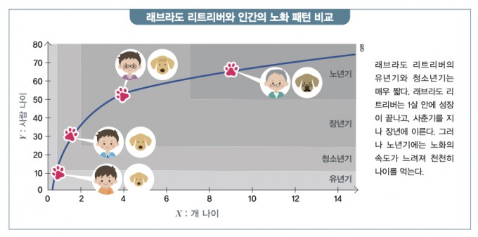 [Weekend N Math] How Old Is Your Dog in Human Years? - DongA Science
