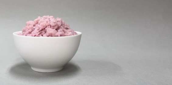 소고기 들어간 쌀알, 국내 연구진이 개발…새 단백질 공급원 될까