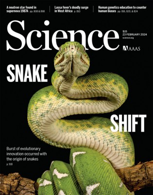 [표지로 읽는 과학] 빠른 진화 덕에 포식자가 된 '뱀'