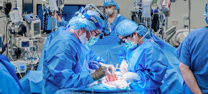 Second Genetically Modified Pig Kidney Successfully Transplanted into ...