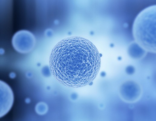 유도만능줄기세포서 정자·난자 전 세포 대량 배양 기술 개발