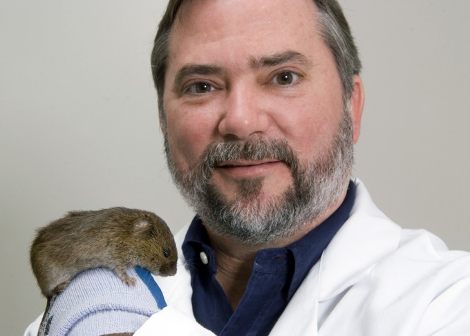 초원들쥐 연구로 옥시토신을 사랑의 호르몬으로 불리게 했던 미국 에머리대의 신경과학자 래리 영이 지난 3월 21일 56세의 나이에 심장마비로 별세했다. 네이처 제공