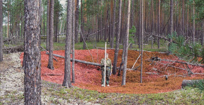 러시아 서부에서 발견된 ′암냐 유적′의 일부. 붉은색으로 강조된 부분이 8000년 전 수렵채집인이 땅을 파고 거주지를 지었던 자리다. Antiquity/E. Dubovtseva 제공