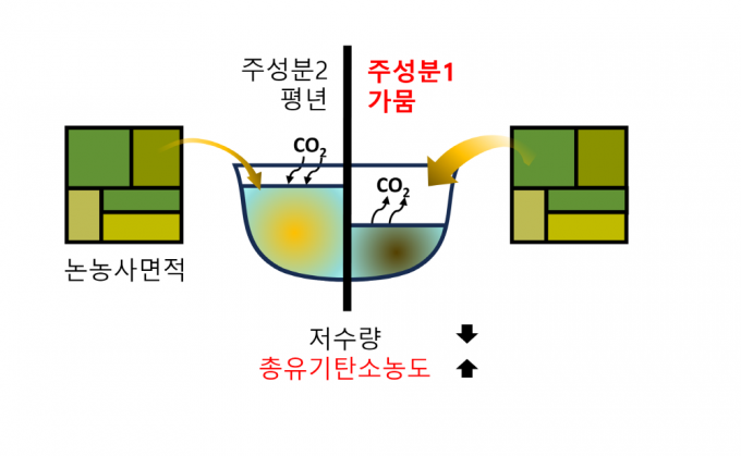 농업용 저수지의 저수량이 줄어들면 총 유기탄소 농도는 늘어나는 것으로 나타났다. 포스텍 제공.