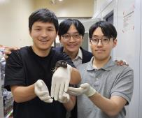 <BR>(왼쪽부터) 이번 연구에 참여한 김규식 서울대 의과학과 대학원생, 최형진 의과대학 교수, 박준석 의과대학 졸업생