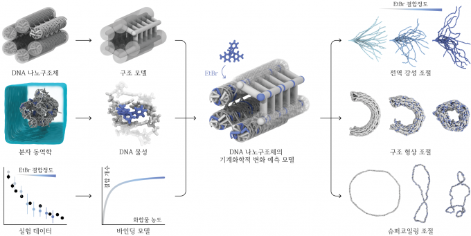DNA 나노구조체의 기계화학적 변화를 예측하는 예측 기술 개념도. 서울대 제공