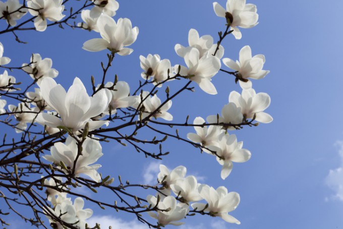 ����� ����� ���⿡ �����ٴ� �������� ���õƴ�. phototake/��Ƽ�̹�����ũ ����.