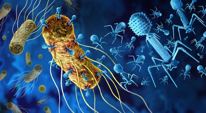 Missile Cocktail' to Target Bacteria A New Way to Hunt