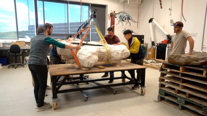 [Report] How Canada, a World-Class Fossil Hotbed, Became a Paleontology ...