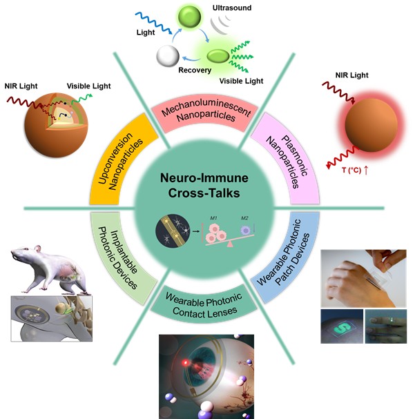 신경-면역 상호작용 기반 디지털 광의약을 위한 다기능성 광나노소재 및 디바이스 모식도. 포스텍 제공