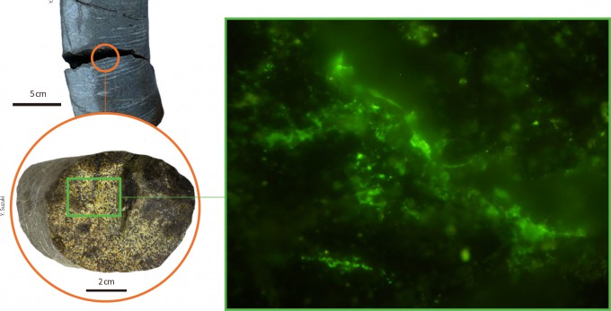 Microbes Discovered in 2-Billion-Year-Old Rock 'Time Capsule' - DongA ...