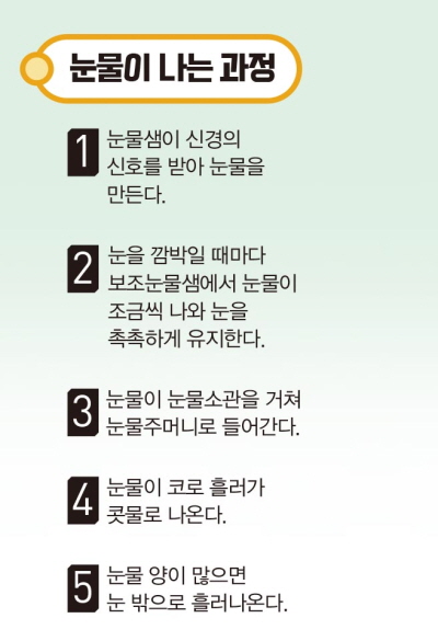 눈물은 어떻게 날까 - 동아사이언스