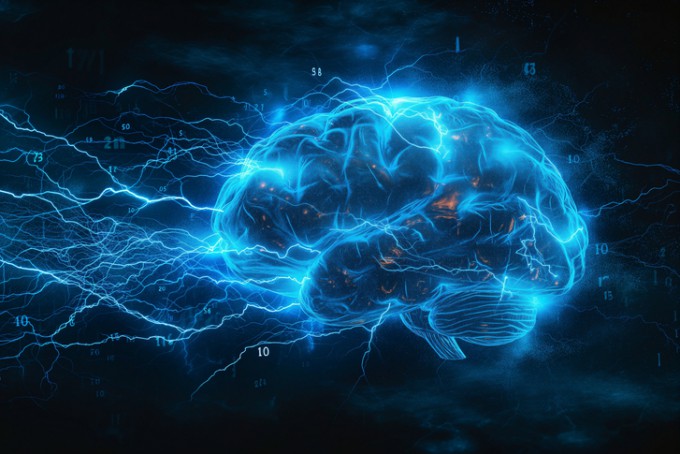 Researchers Discover Principle Behind How Hippocampus Manages Memory ...