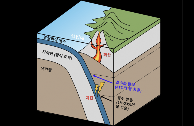 ��Į���� ������ ������ �������� ��Ʋ�� ���ԵǴ� �������� Ȱ�� ������ �ʼ�ȭ ������ �Ͼ�� �ȴ�. ������ ����.