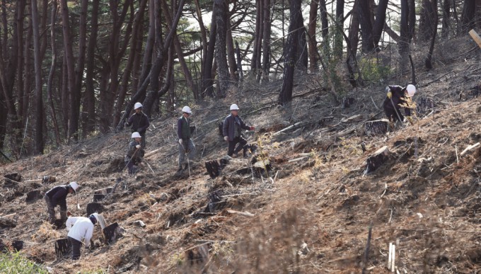2023년 4월 강릉에서 발생한 산불로 산뿐만 아니라 120여 채의 건물까지 소실됐다. 타버린 산은 여러 사람들의 나무 심기를 통해 복원된다. 연합뉴스 제공