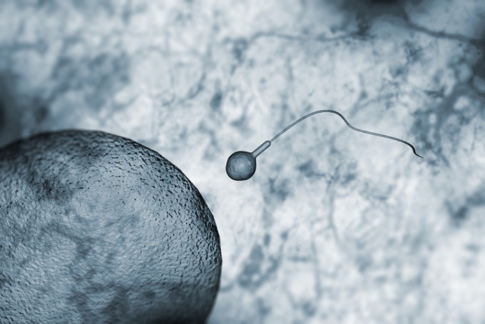 전세계 커플 6쌍 중 1쌍은 불임으로 어려움을 겪으며 이중 남성 불임이 약 절반을 차지한다. 남성 불임은 유전자 결함으로 정자 생산이 멈추거나 정자의 운동성이 떨어지는 등 다양한 사례가 있다. 게티이미지뱅크 제공