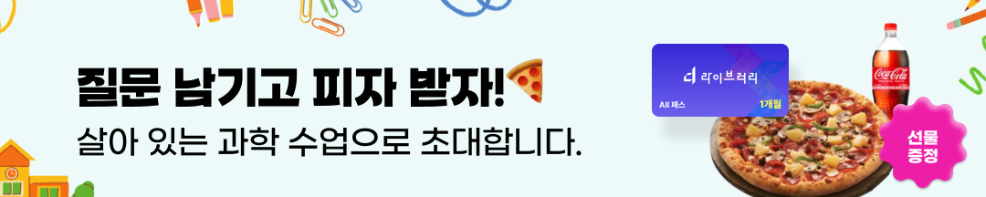 DX/김은조