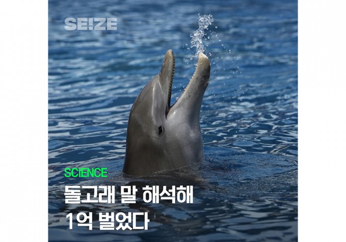 [Science Video] Decoding Dolphin Language Earns Researchers $100,000 ...