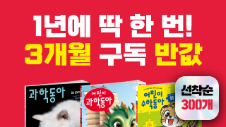 3개월반값/커머스