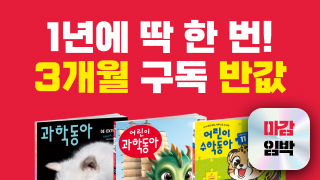3개월반값/커머스